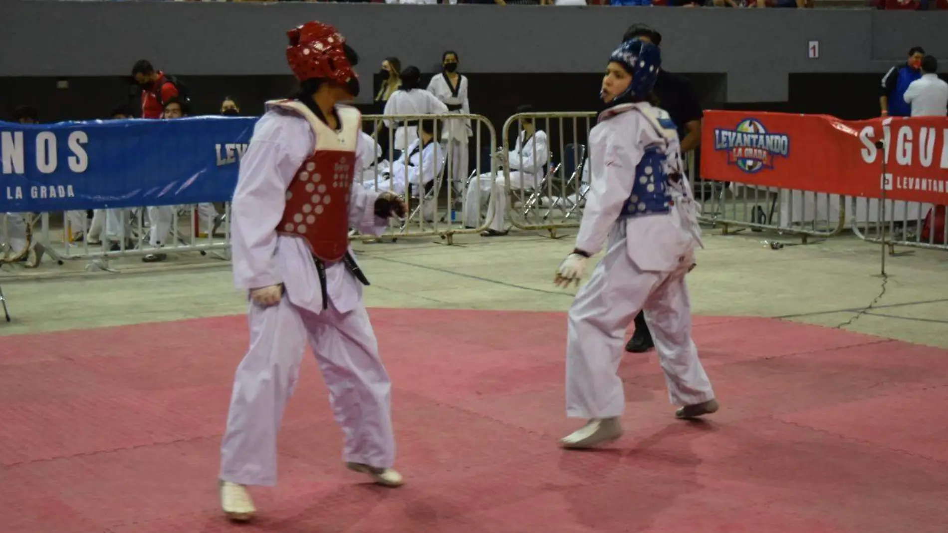 Son 23 taekwondoínes de Sonora los que irán al Selectivo Nacional JUvenil              (Cortesía Codeson)